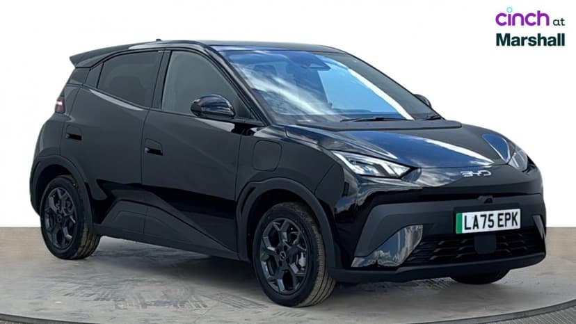BYD Dolphin Surf
