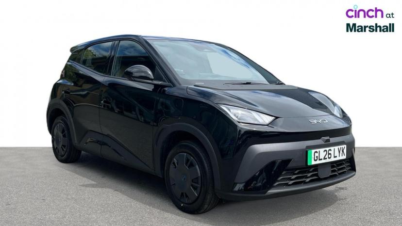 BYD Dolphin Surf