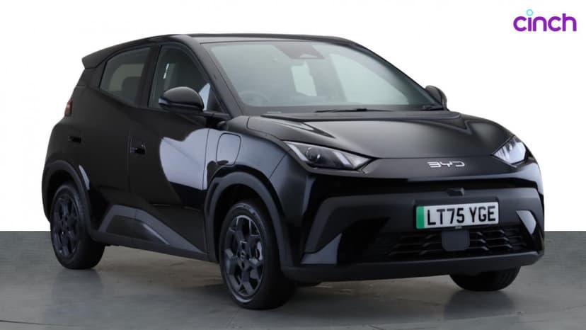 BYD Dolphin Surf