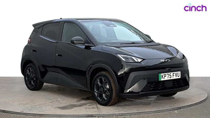 BYD Dolphin Surf