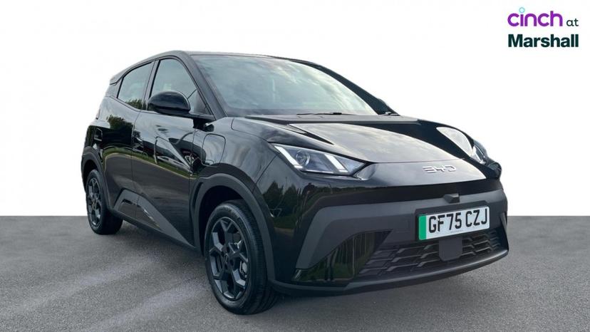 BYD Dolphin Surf