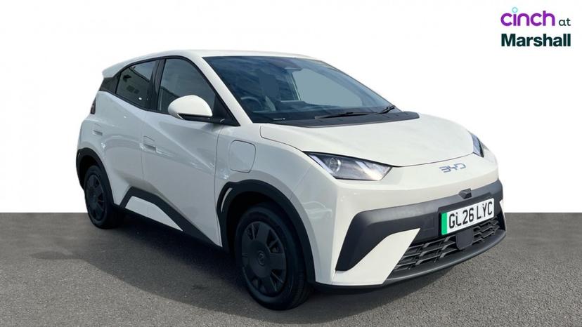 BYD Dolphin Surf