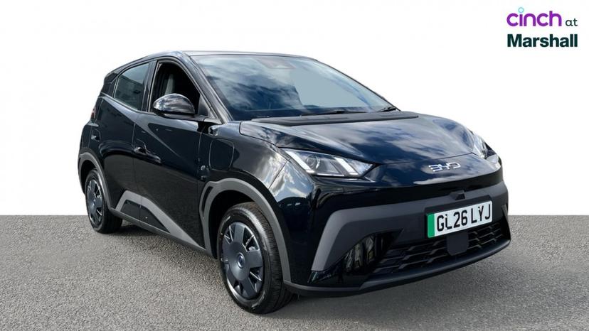 BYD Dolphin Surf